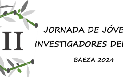 II Jornadas de Jóvenes Investigadores del Grupo Español del Carbon (GEC)